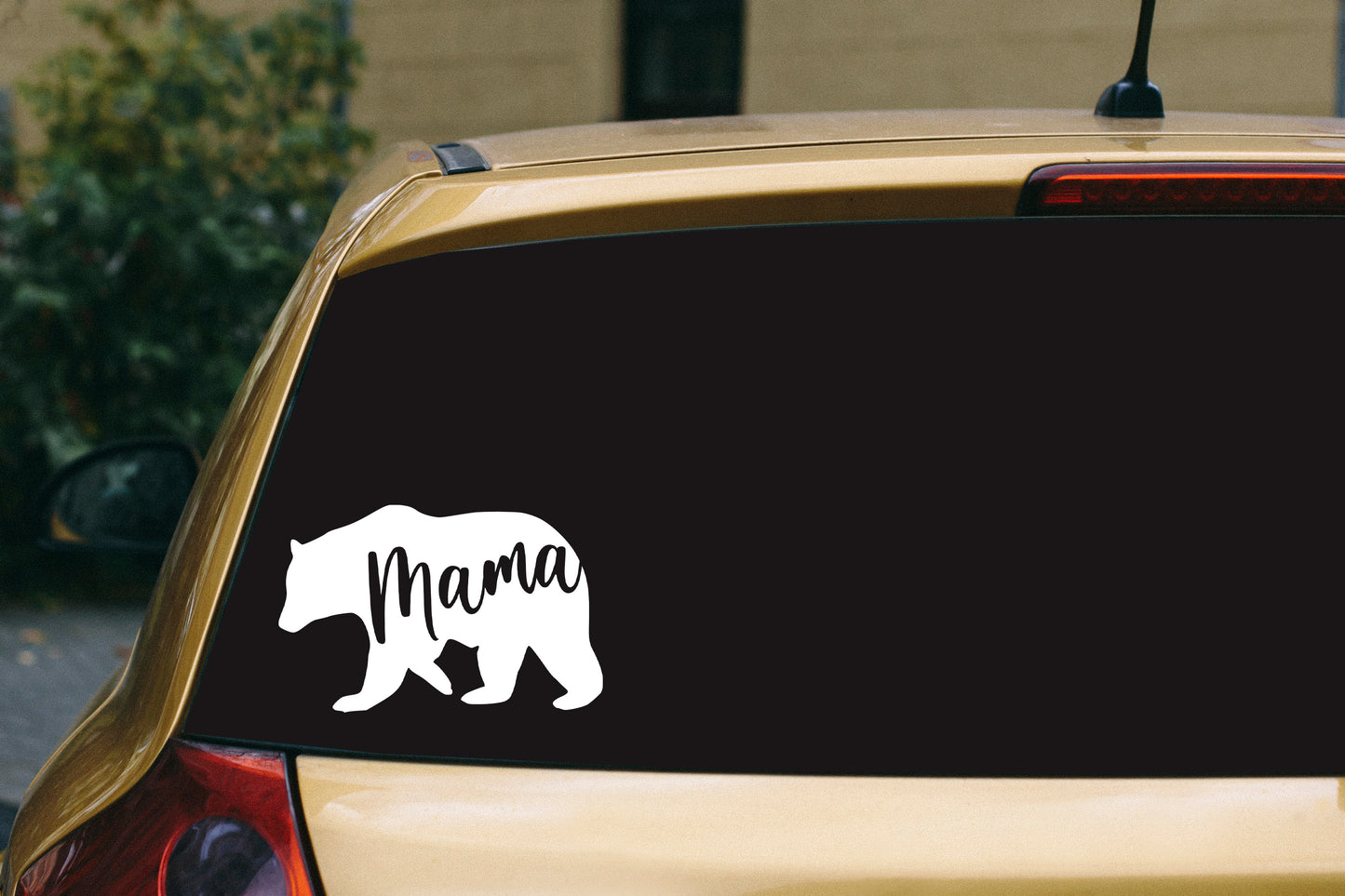 Mama Bear (with or without cubs)