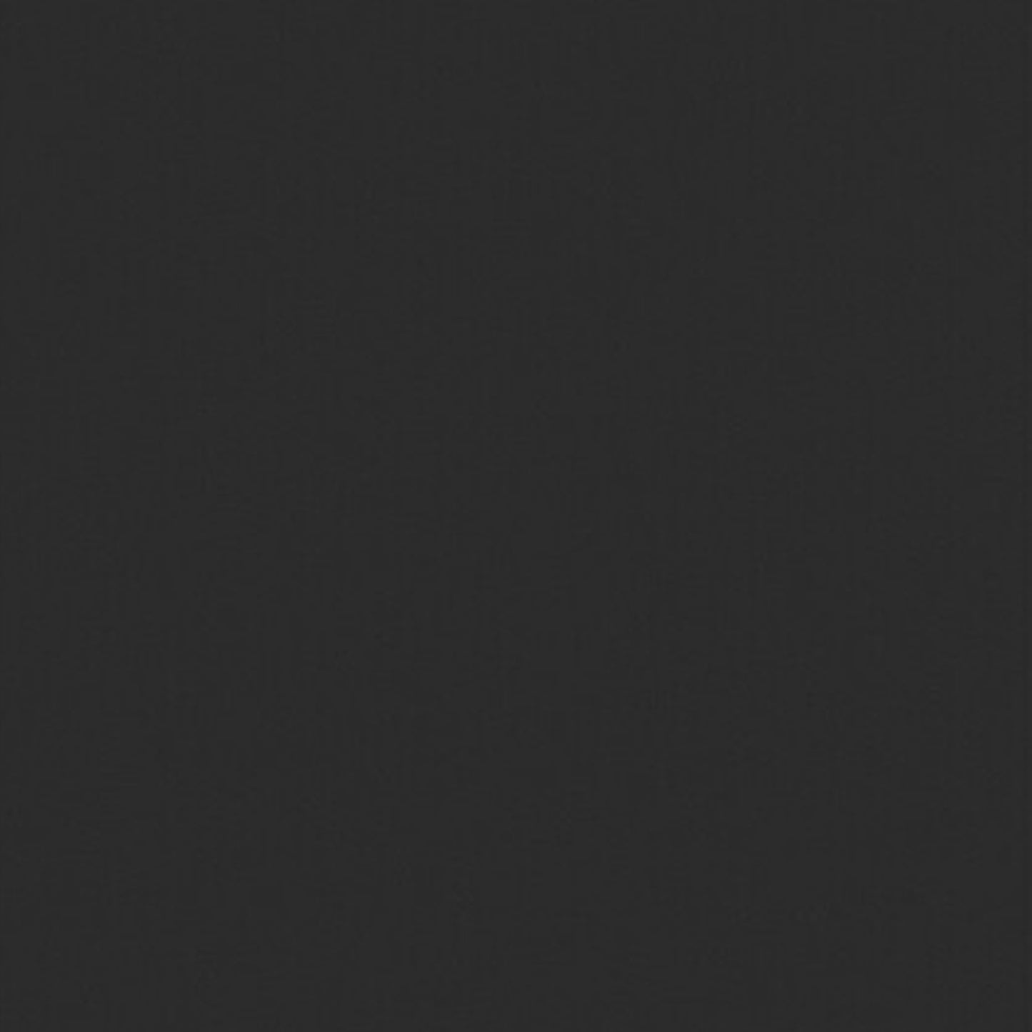 Never Stop Dreaming Dreamcatcher