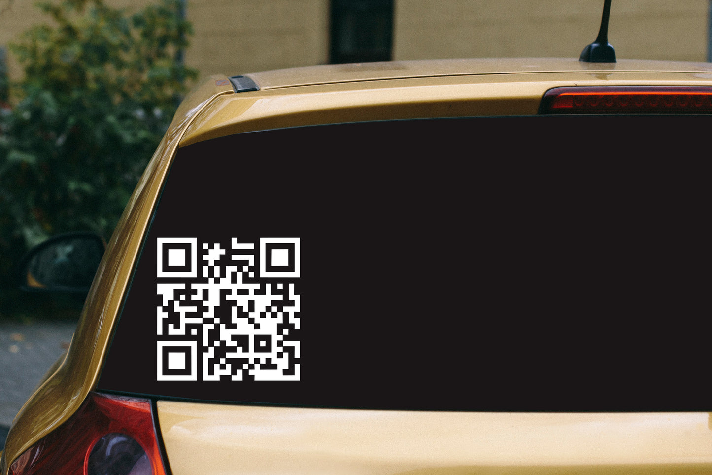 QR Code (Middle Finger)